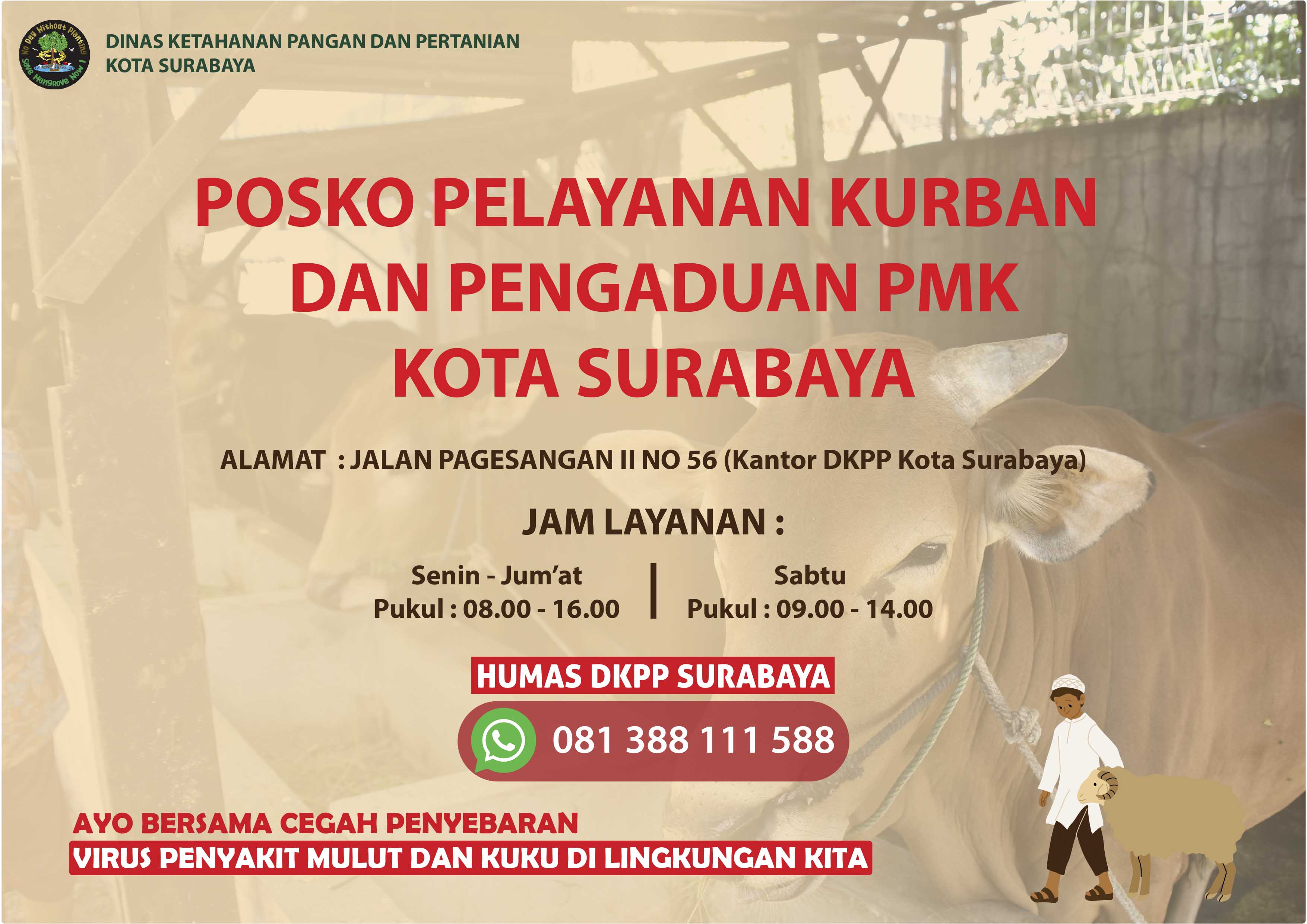 DKPP Surabaya Membuka Pelayanan Kurban dan Pengaduan PMK