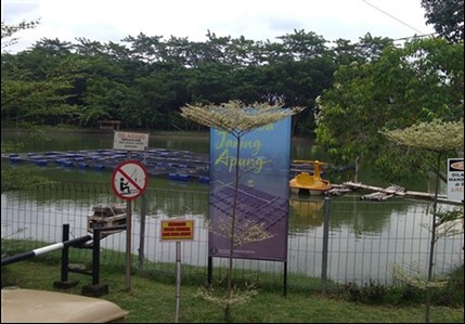 Pengelolaan dan Pengembangan Taman Hutan Raya