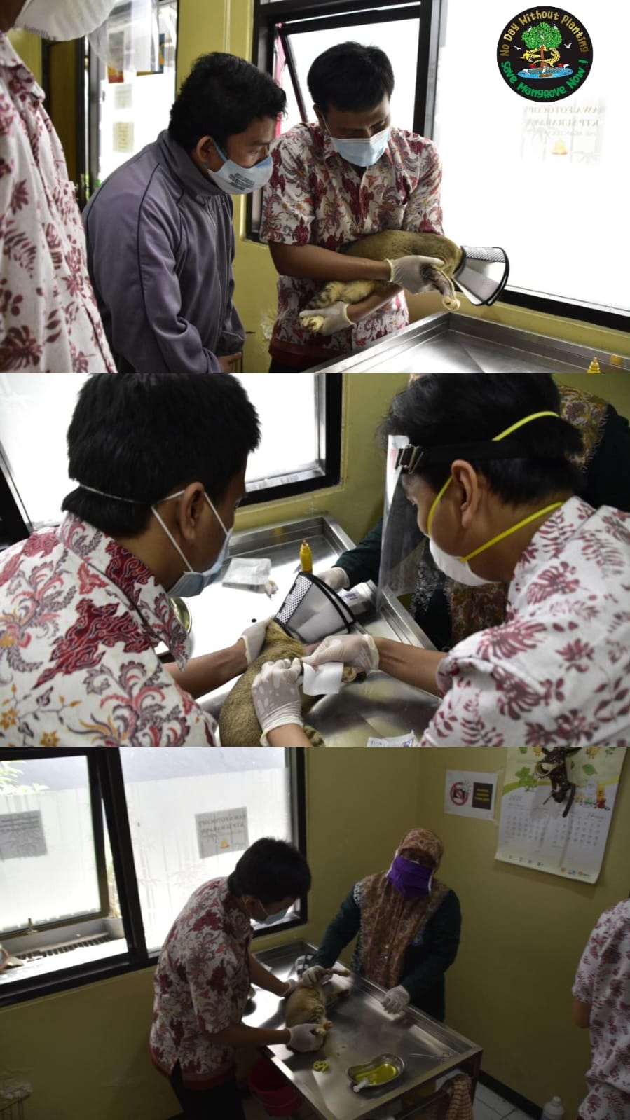 Pelayanan Kesehatan Hewan Gratis Oleh Dinas Ketahanan Pangan dan Pertanian Kota Surabaya